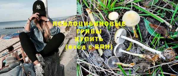 хмурый Балабаново