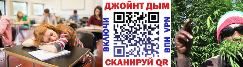 дарнет шоп Рудня Бошки Шишки индика